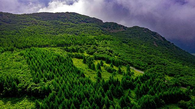 推動(dòng)&ldquo;五大任務(wù)&rdquo;見行見效,突泉縣這樣做!