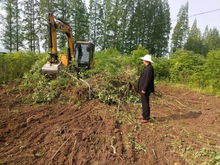 康寧村 退林還耕 工作穩(wěn)步推進(jìn)