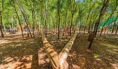 關(guān)于科學(xué)利用林地資源促進(jìn)木本糧油和林下經(jīng)濟(jì)高質(zhì)量發(fā)展的意見 林草生態(tài)匯